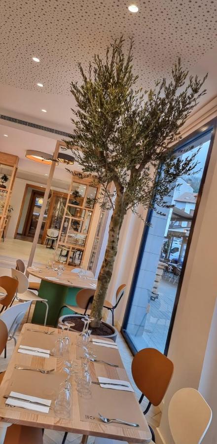 Apartahotel Dos Rios アインサ エクステリア 写真